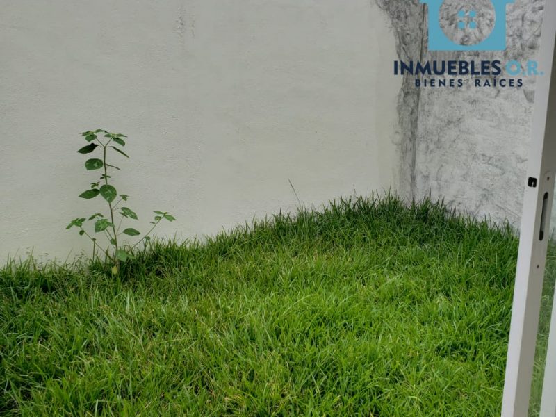 ARBOL DE AGUA Residencial Prototipo PRIMAVERA