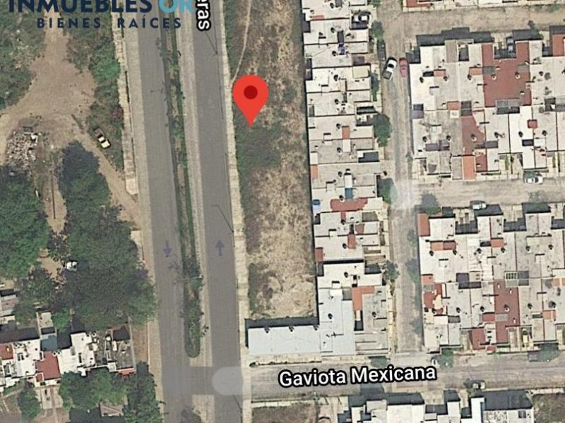 Terrenos GAVIOTAS Residencial Barrio 1
